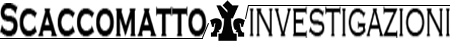 Logo investgatore privato napoli - scaccomatto investigazioni regina e cavallo degli scacchi in nero